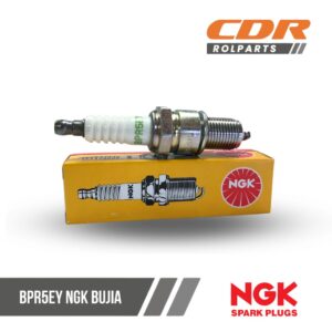 NGK BPR5EY BUJIA