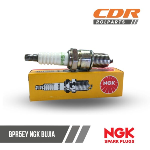 NGK BPR5EY BUJIA