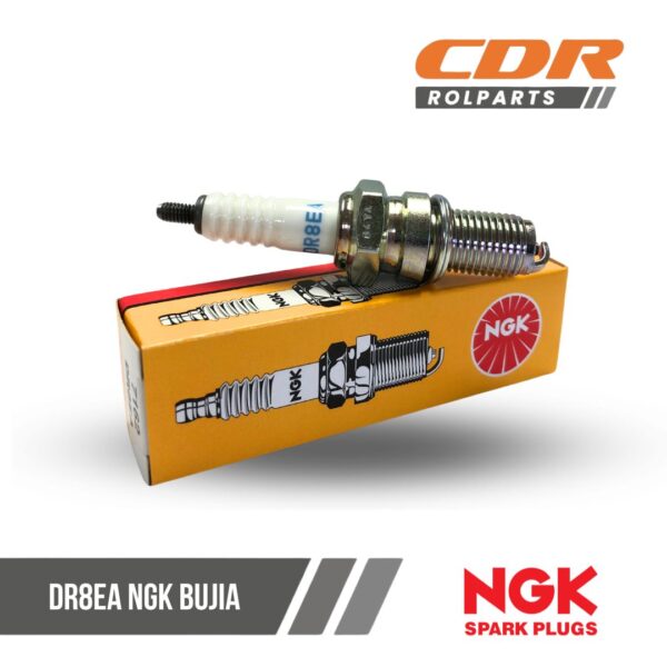 NGK DR8EA BUJIA