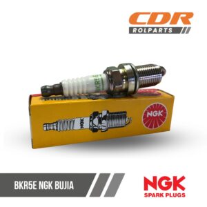 NGK BKR5E BUJIA