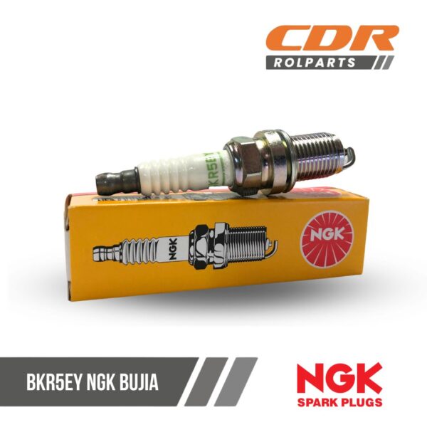 NGK BKR5EY BUJIA
