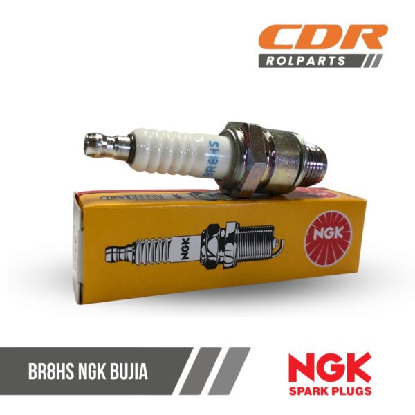 NGK BR8HS BUJIA
